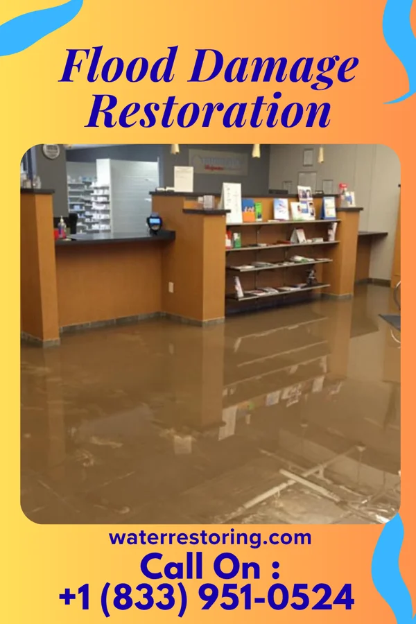Flood Damage Restoration in Morgantown, KY