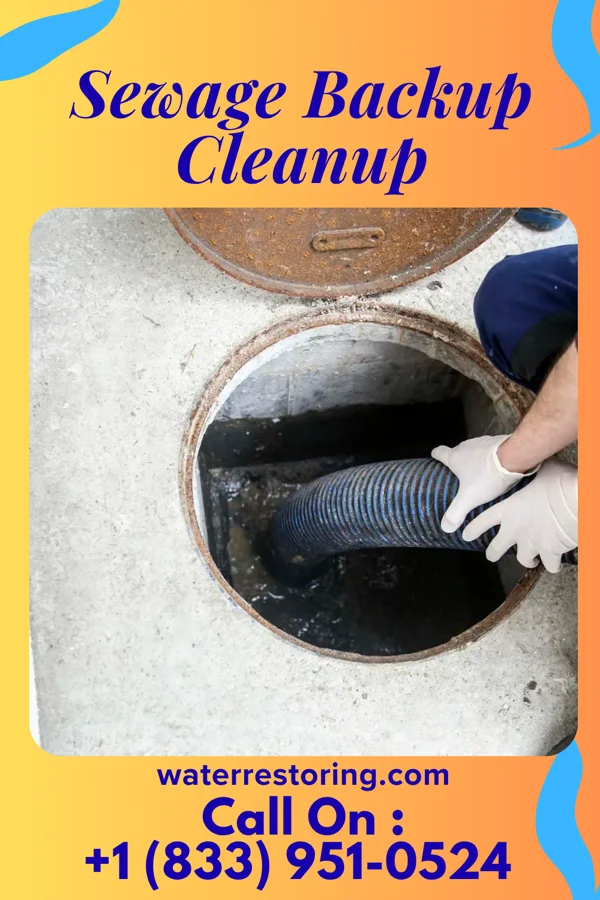 Sewage Backup Cleanup in Morgantown, KY