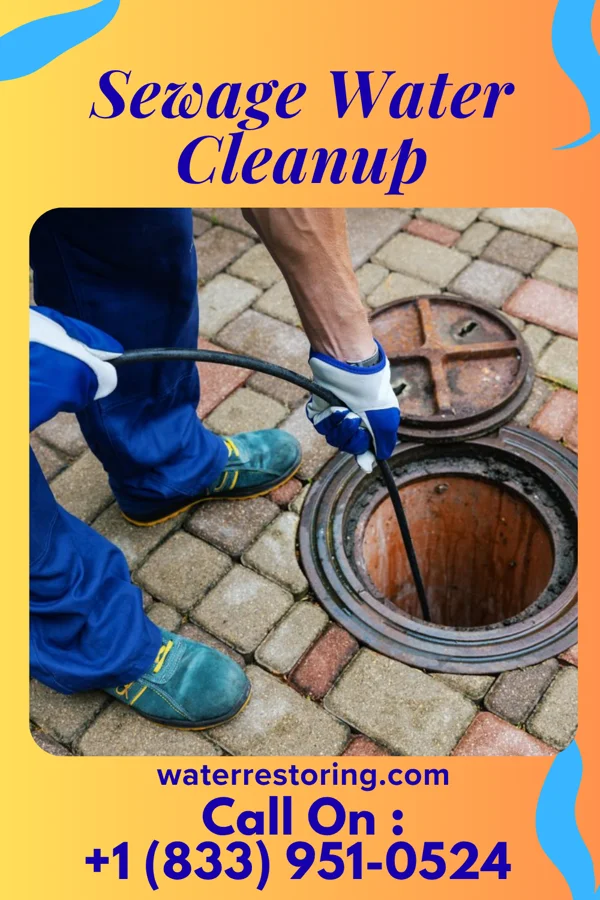 Sewage Water Cleanup in Morgantown, KY